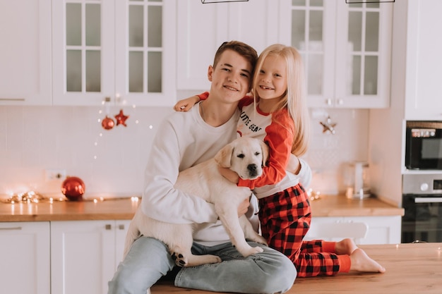 Crianças com seu cachorro amado estão sentadas na cozinha de natal. passatempo familiar. estilo de vida. irmão e irmã, menino e menina brincam e brincam com um animal de estimação. espaço para texto. foto de alta qualidade