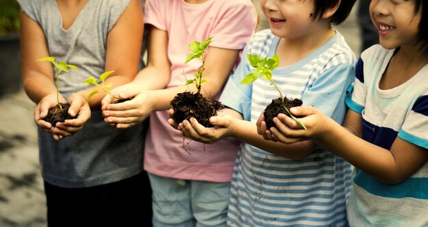 Crianças do jardim de infância com plantas em suas mãos