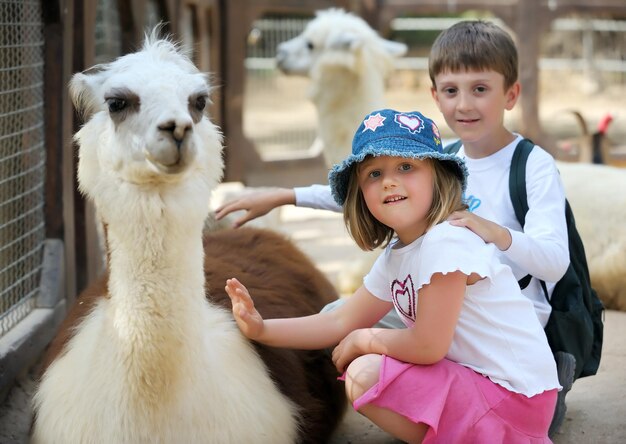 Crianças e animais no zoológico