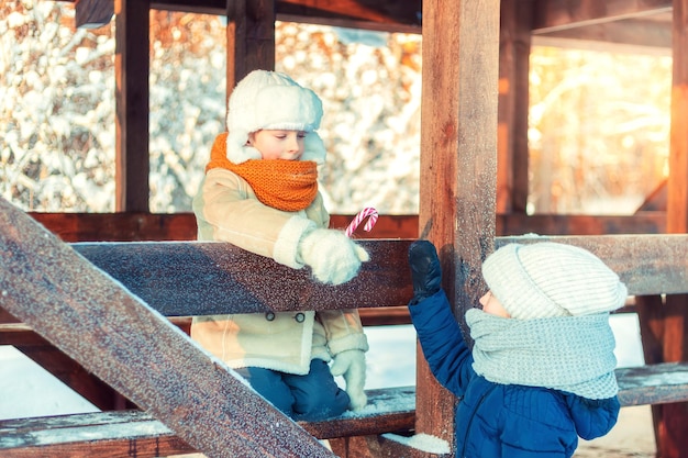 Foto crianças em um gazebo de madeira em uma floresta de inverno coberta de neve