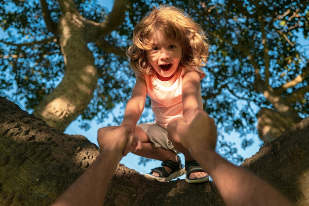 Crianças escalando árvores, pais, mão, proteção infantil