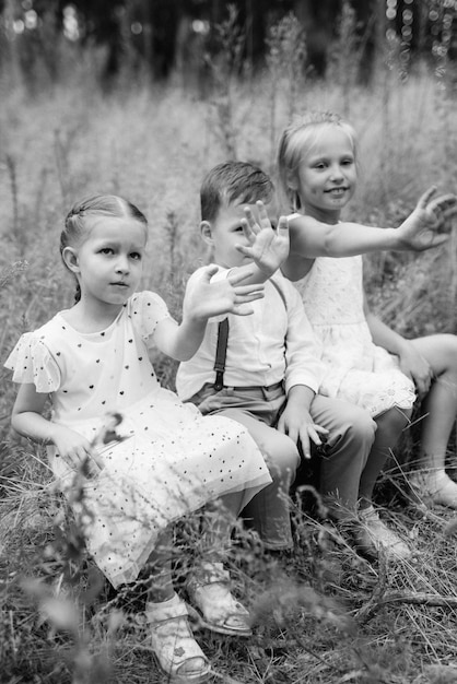 Crianças felizes brincam em uma floresta de pinheiros de verão