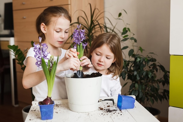 Crianças meninas repotting plantas de casa