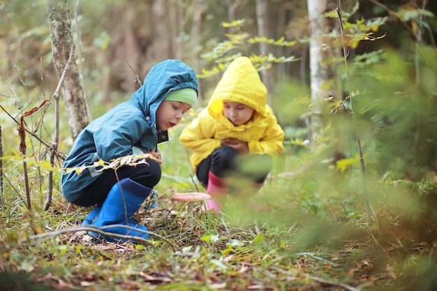 Crianças na aldeia caminham pela floresta de outono e colhem cogumelos Crianças na natureza estão andando na natureza Caminhada rural no outono
