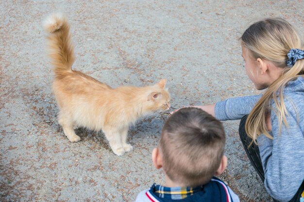 Foto crianças na rua são alimentadas com um gato vermelho de rua
