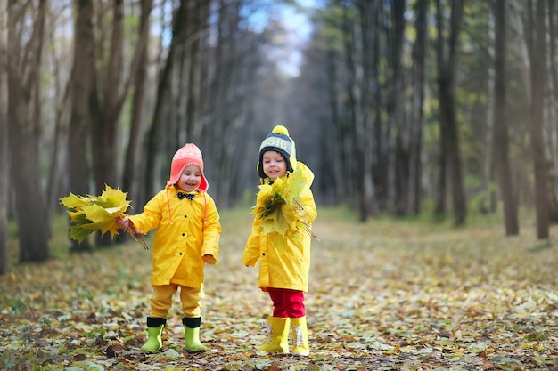 Crianças pequenas estão caminhando no parque de outono no outono das folhas
