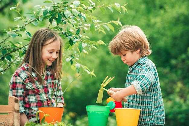 Crianças plantando flores em um vaso, duas crianças felizes, fazendeiros trabalhando com batata no campo de primavera