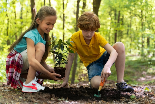 Crianças plantando juntas na floresta