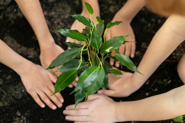 Foto crianças plantando juntas na floresta