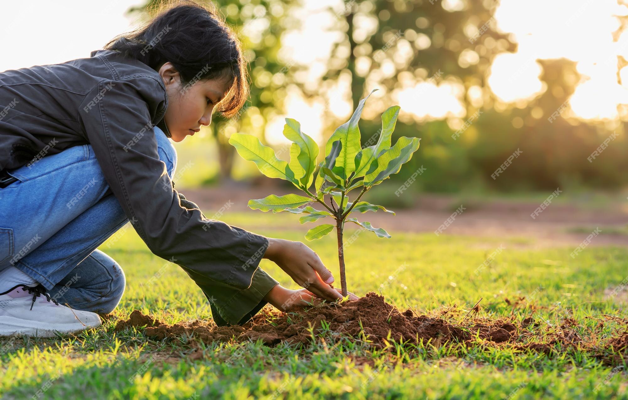 INICIANDO o JOGO, escolhendo a terra, plantando e comprando