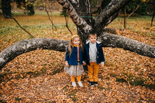 Crianças posando no parque outono
