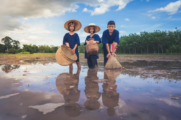 Crianças que encontram peixes na ferramenta tradicional para pescar no campo de arroz rural
