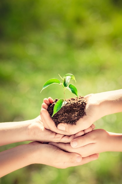 Foto crianças segurando plantas jovens nas mãos contra o fundo verde da primavera conceito de férias de ecologia do dia da terra