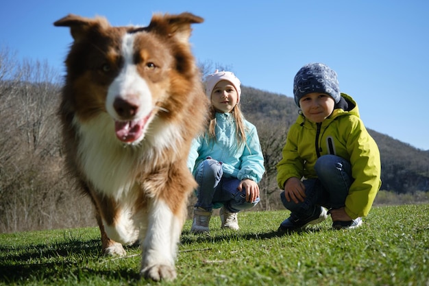 Crianças sorrindo, cão-pastor australiano marrom, caminhando para a frente, raça familiar australiana