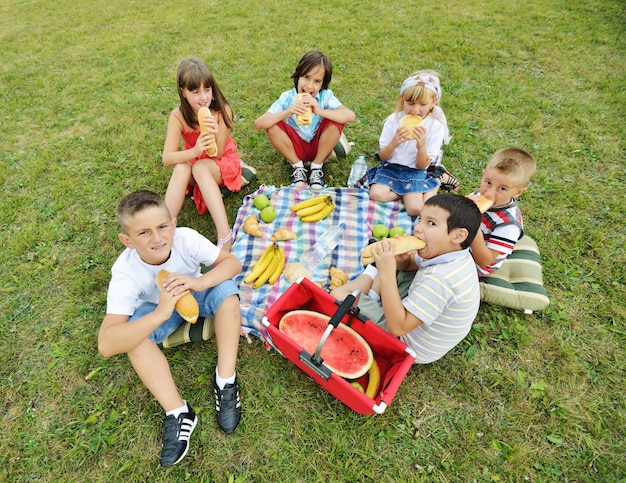 Crianças tendo piquenique no prado em círculo