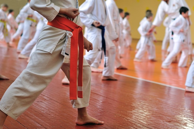 Crianças treinando no karatedo foto sem rostos de costas