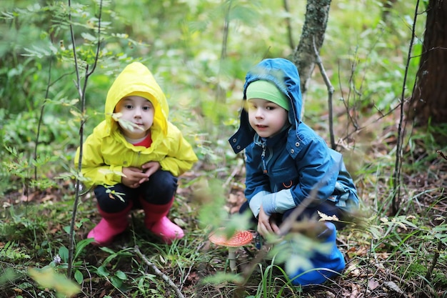 Crianças vão para a floresta buscar cogumelos