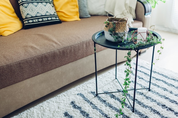 Criando interior moderno usando plantas domésticas. Corda de corações colocar na cesta na mesa de café para um ambiente acolhedor.