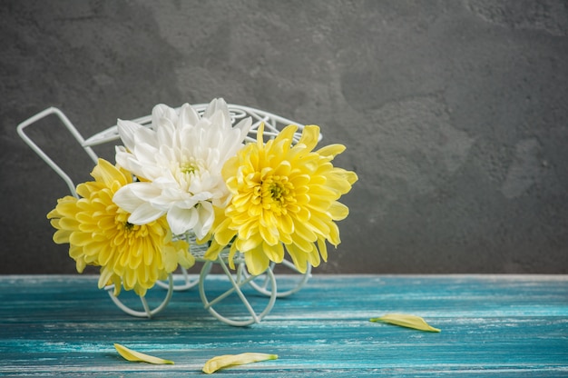 Crisantemo blanco y amarillo en una olla