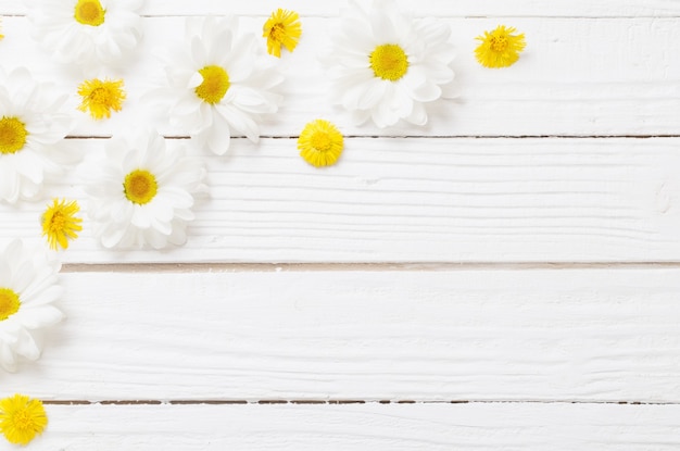 Crisantemo blanco y coltsfoot amarillo sobre fondo blanco de madera