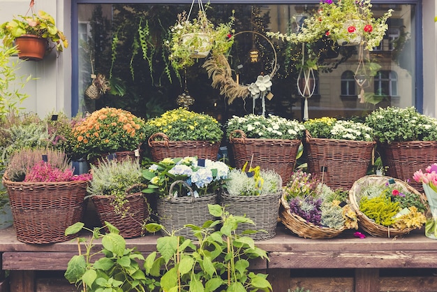 Crisântemo urze e flores penduradas e grinaldas na loja de flores no dia das bruxas e no dia de ação de graças