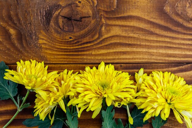 Crisantemos amarillos sobre fondo de madera Vista superior copia espacio