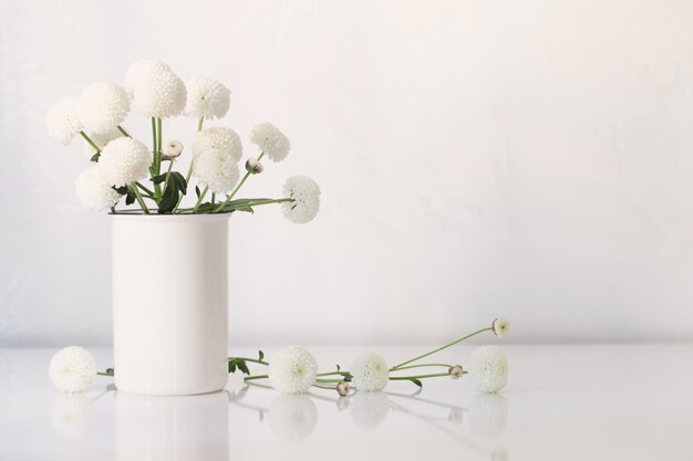 Crisantemos blancos en florero sobre fondo blanco.