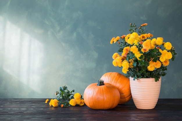 Crisantemos y calabazas en verde