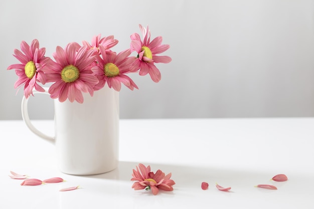 Crisântemos rosa em copo branco sobre fundo branco