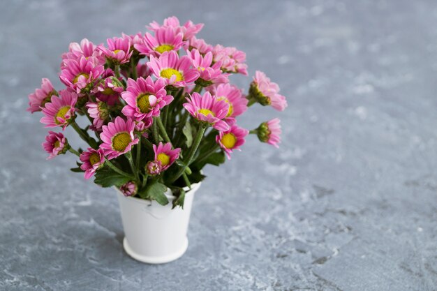 Foto crisantemos rosados en un fondo gris, primer.