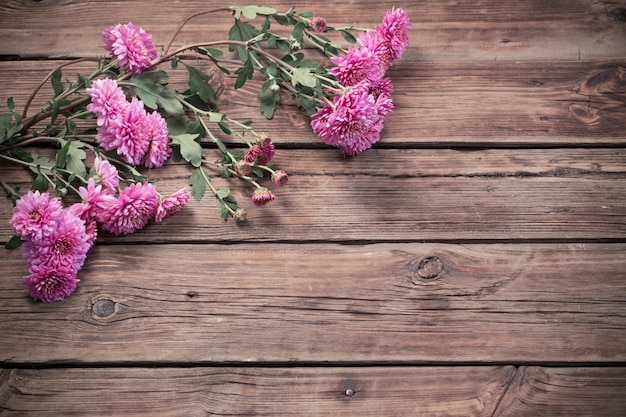 Crisantemos rosados en madera oscura