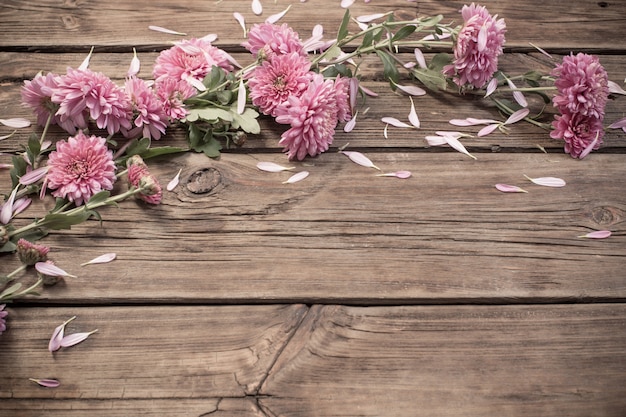 Crisantemos rosados en madera oscura