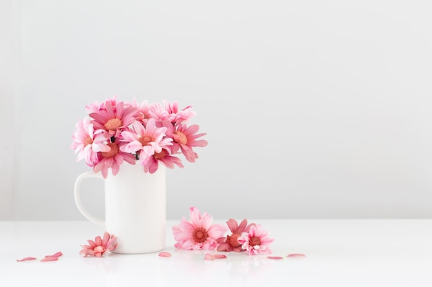 Crisantemos rosados en taza blanca sobre fondo blanco.