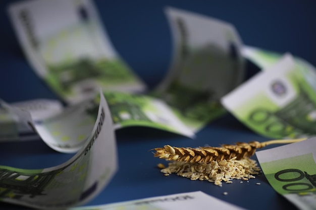 Crisis mundial de cereales Un puñado de cereales y billetes en euros sobre un fondo azul.