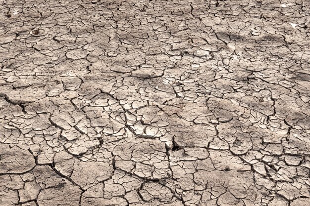 Foto la crisis de la sequía rompió la tierra