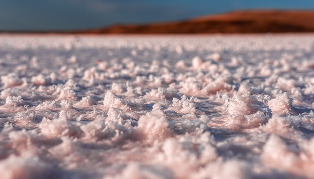 Cristales de sal rosa. Textura de lago de sal rosa natural. verão quente