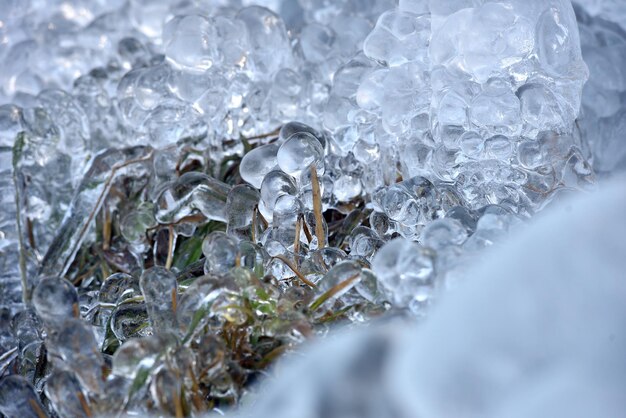 Cristales de hielo abstractos en plantas congeladas en invierno