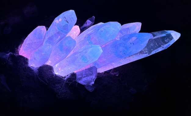 Cristales de hielo púrpuras y azules que brillan en la oscuridad en un parque temático