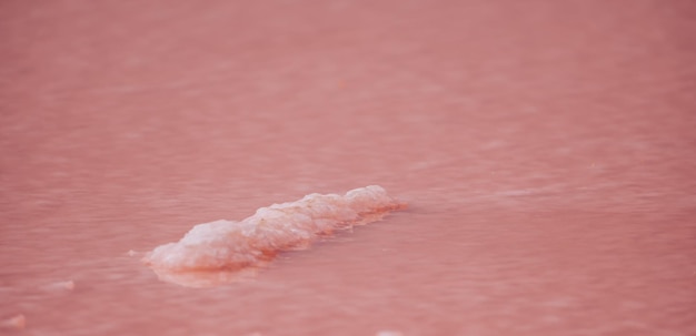 Cristales de sal rosa, textura de lago salado rosa natural, minería de sal, lago rosa extremadamente salado coloreado por