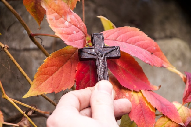 Cristianismo en la naturaleza