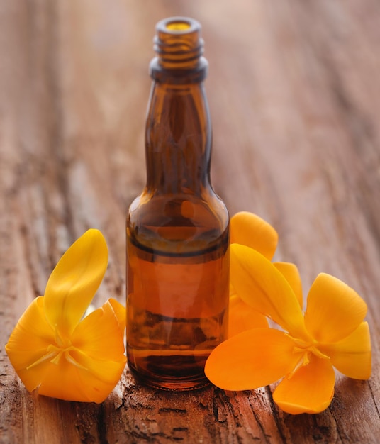 Crocus amarelo com óleo essencial em uma garrafa em superfície natural