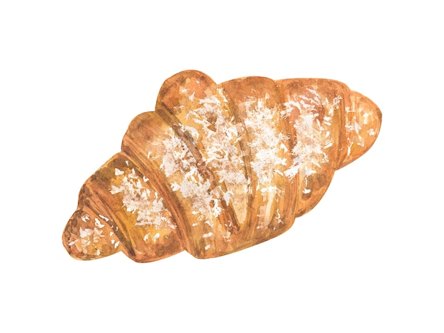 Croissant polvilhado com açúcar de confeiteiro. mão-extraídas ilustração em aquarela. isolado na parede branca.