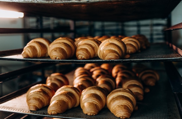 Croissants sind in einem Tablett, nachdem sie den Ofen für Kunden beim Frühstück in einer gewerblichen Küche verlassen haben