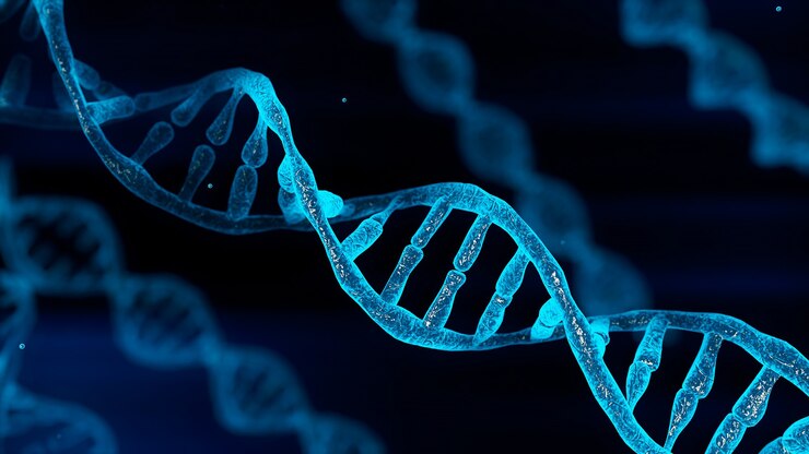 Cromossomo de DNA