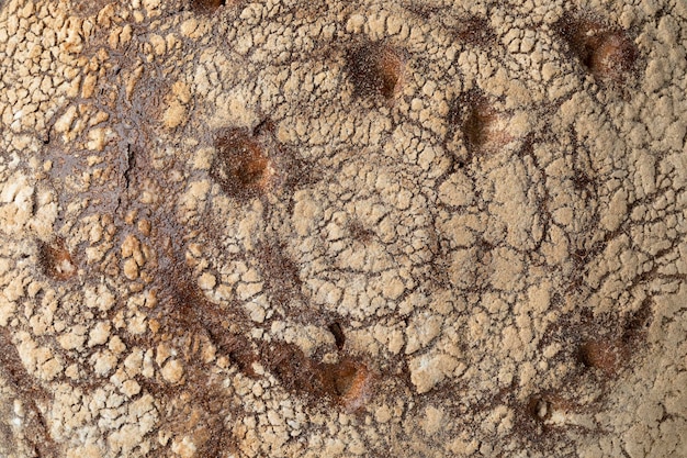 Crosta tradicional de um pão de centeio misto alemão Bauernkloben brot quadro completo fechado como fundo