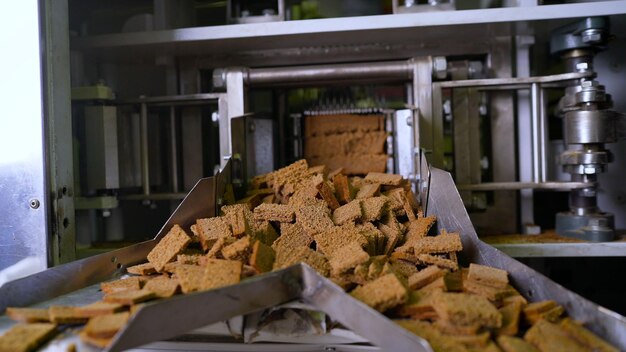 Foto croutons en la línea automatizada de transporte para la producción de rosquillas de pan