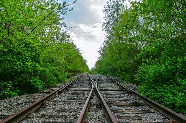 cruce de dos ferrocarriles en la madera