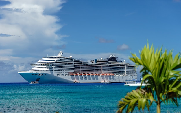 Crucero en aguas cristalinas con una palma en la parte delantera