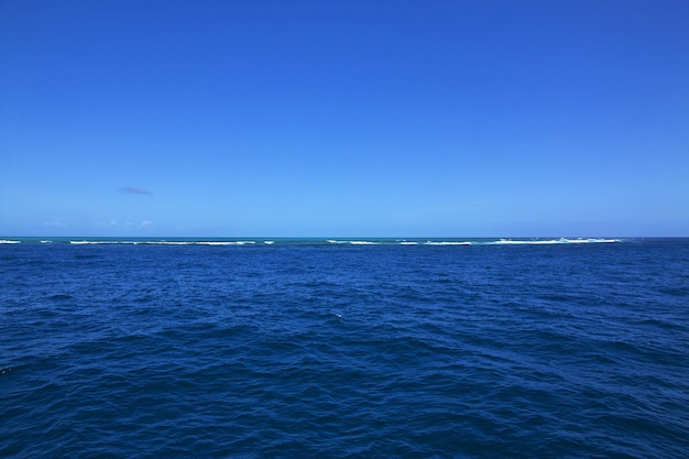 Crucero a la Gran Barrera de Coral, Australia