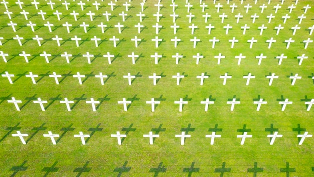 Cruces blancas en la tumba en honor a las tropas holandesas
